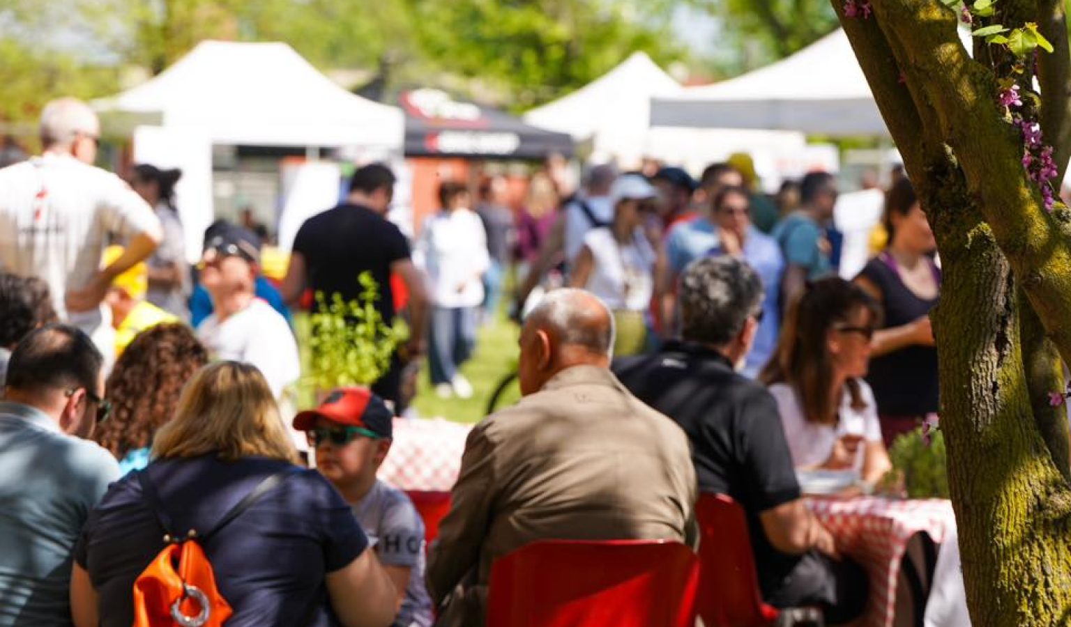 CicloFesta2024 Roberto Tommasini (19)